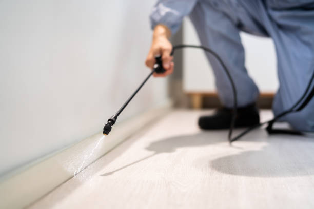 Bed Bug Pre-Treatment Preparation Assessment in Cotter