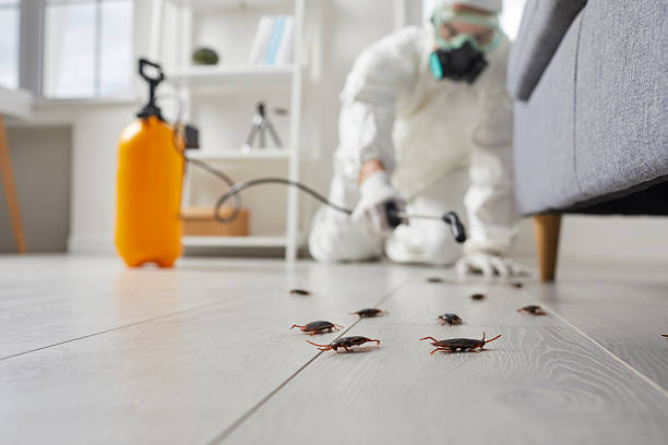 Post-Treatment Bed Bug Interceptor Monitoring in Cotter