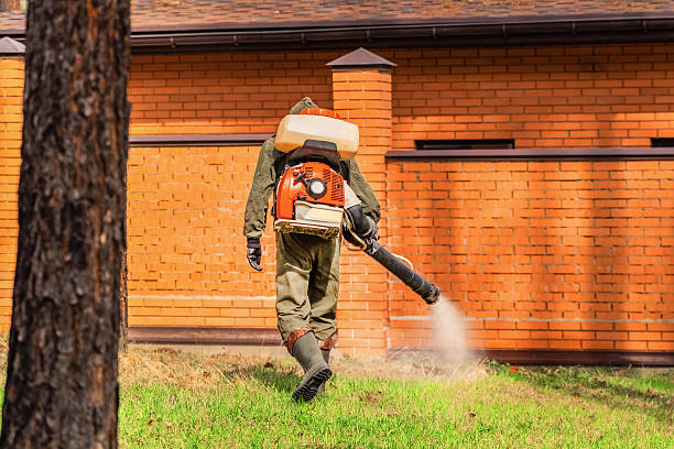 Bed Bug Clearance Verification and Documentation in Cotter